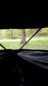 Inside the Ox in the Oak Meadow